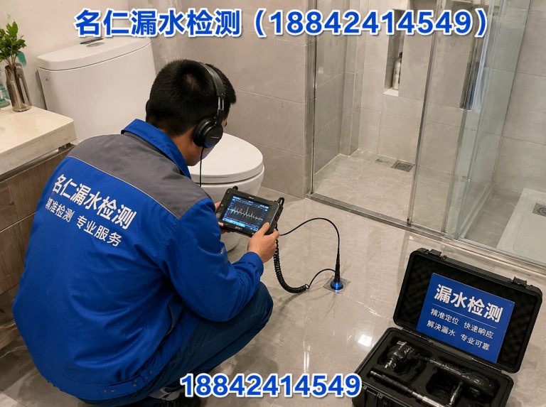 康平县地下漏水检测展示图